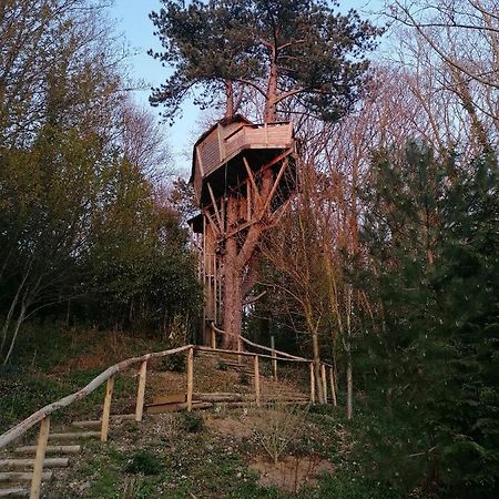 Sherwood Tree Étretat Esterno foto