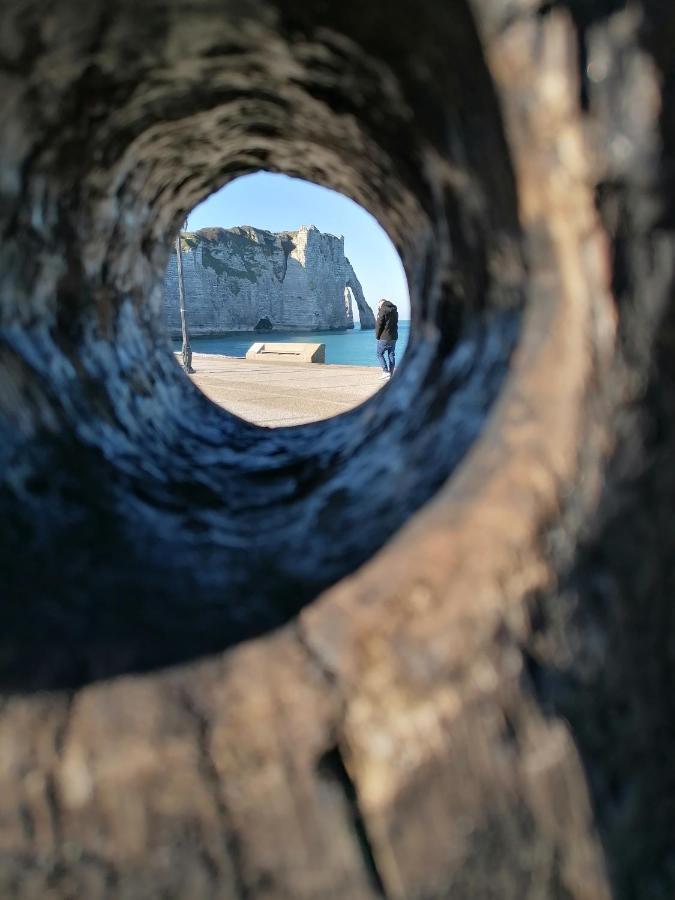 Sherwood Tree Étretat Esterno foto